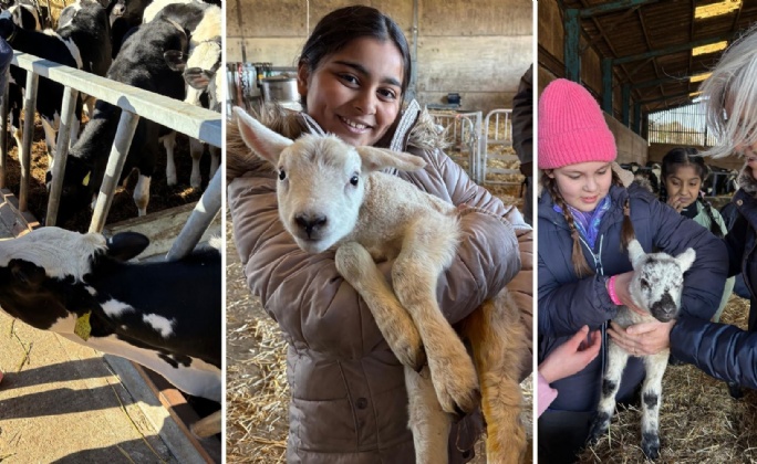 Latest News » Year 5’s Unforgettable Day at Gaulby Lodge Farm